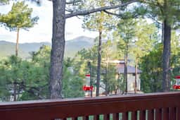 C3 - The Nestled Inn